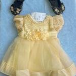 Baby Girl Party Ball Dress