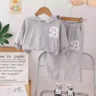 Girls 2 Pieces Outfit