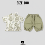 patterned short sleeved top and barrel style shorts