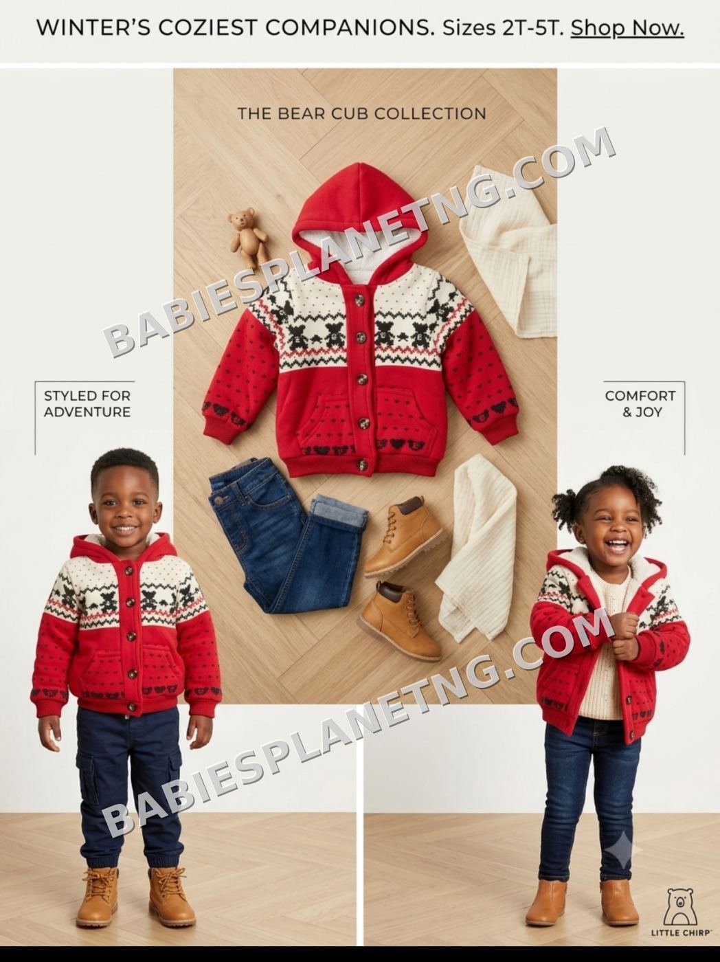 Toddler Bear Graphic Hoodie
